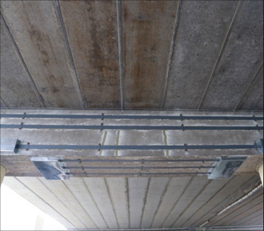 "x-lou58.jpg"